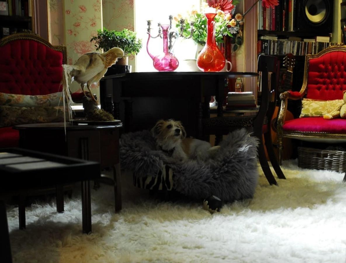 Boutique Bijoux Garden Flat In Vibrant Oval Apartamento *